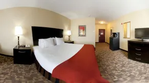 Holiday Inn Express &Suites Snyder by IHG - Chambre