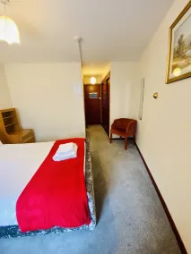 Mount Pleasant Hotel - Room