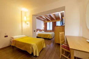 Hotel Alpino Al Cavalletto - Room