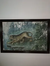 Sahmeran Pansiyon - Camera