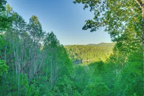 Wooded Cabin w/ Decks & Dale Hollow Lake Views! - Innvendig