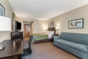 Quality Inn Portsmouth - Room