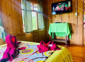 Mindo GlamBird Glamping & Lodge - Habitación