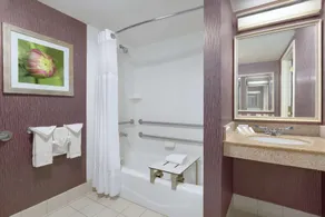 Hilton Garden Inn-Springfield, MA - Salle de bain