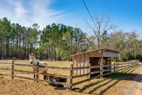 Cozy Barn Apt w/ 5-acre Pond in South Georgia! - Innvendig