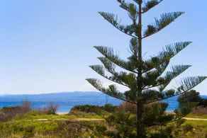 Arco Beach Hotel - Rom