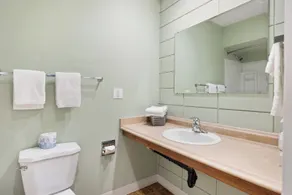 Big Rock Motel - Lavabo de la salle de bain