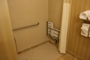 Hampton Inn & Suites Mobile Providence Park/Airport - Værelse