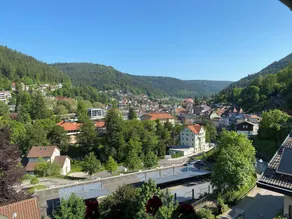 Wellnesshotel Rothfuß mit Spa und 2 Schwimmbädern - View from room