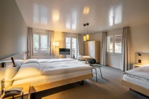 Hotel Alpenruhe - Vintage Design Hotel - Rum