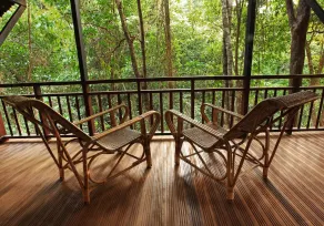 Vythiri Resort - View from room