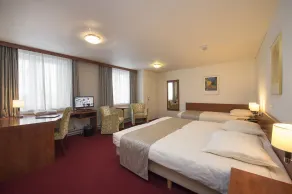 Hotel Restaurant in den Hoof - Room