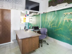 Hotel San Jose Purua - Reception