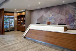 SpringHill Suites by Marriott Grand Rapids West - Réception