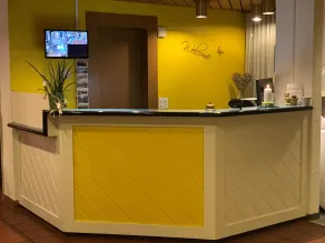 Hotel Alpha Thun - Reception