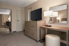 Embassy Suites by Hilton Cleveland Rockside - Chambre