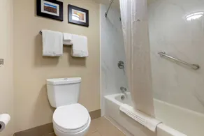 Comfort Inn Binghamton I-81 - Salle de bain