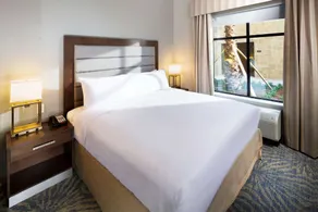 Homewood Suites by Hilton Houston / Katy Mills Mall - Chambre