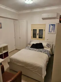Guest apartment within a villa in Lagonissi - Room