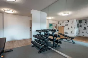 Sonesta Simply Suites Dallas Richardson - Salle de remise en forme