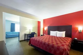 Econo Lodge Inn & Suites Clearwater Central - Værelse