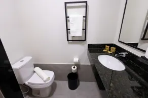 Ibis Votuporanga - Salle de bain