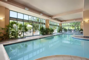 Embassy Suites by Hilton Raleigh Durham Research Triangle - Piscine
