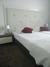 Hotel Prezydencki 4-star - Room