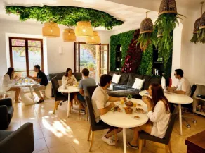 Primavera House Port Sóller formerly Sol Port Sóller - Resepsjon