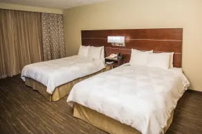 Wyndham Moline on John Deere Commons - Chambre