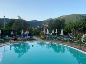 Rabbit - Pool