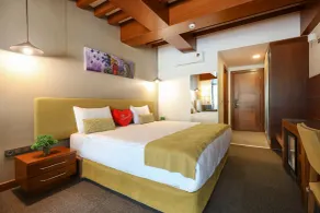 Abant Aden Boutique Hotel & Spa - Room