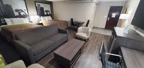 Super 8 by Wyndham Sterling Heights/Detroit Area - Habitación