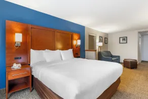 Comfort Suites Longmont - Room