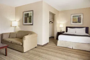 Days Inn by Wyndham Brantford - Chambre