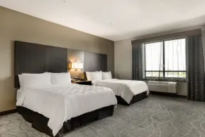 Holiday Inn & Suites Silicon Valley - Milpitas by IHG - Habitación