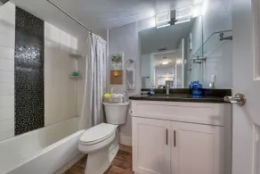 Kandy's Kondo #101 - Bathroom