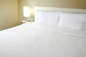 Hilton Garden Inn Savannah Midtown - Chambre