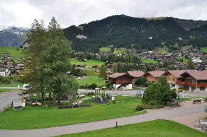 Ferien- und Familienhotel Alpina Adelboden - Vue de la chambre