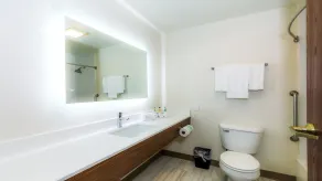 Holiday Inn Express Osage Beach - Lake of the Ozarks by IHG - Salle de bain