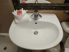 Econo Lodge City Centre - Salle de bain