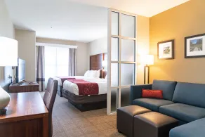 Comfort Suites Vicksburg - Chambre