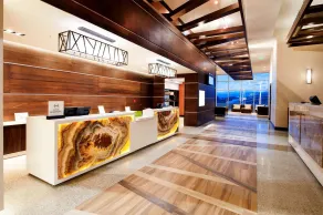 Hilton Garden Inn San Jose La Sabana - Reception