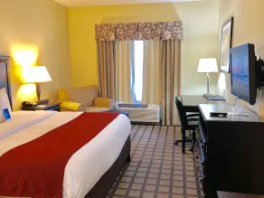 Comfort Inn & Suites Montgomery Eastchase - Chambre