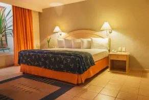 Plaza Inn Express - Room