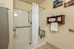 Comfort Inn & Suites Fort Myers Airport - Salle de bain