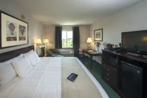 Meadowlands Plaza Hotel - Chambre