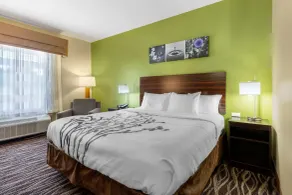 Sleep Inn & Suites Millbrook - Prattville - Chambre