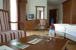 SANTE Hévíz - Habitación