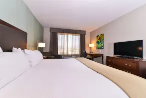 Holiday Inn Express & Suites Indio - Coachella Valley by IHG - Chambre